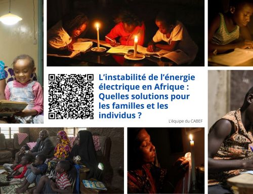 L’instabilité de l’énergie électrique en Afrique : Quelles solutions pour les familles et les individus ?