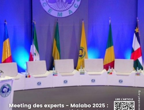 Meeting des experts – Malabo 2025 : le CAPS au cœur des décisions de la CEMAC