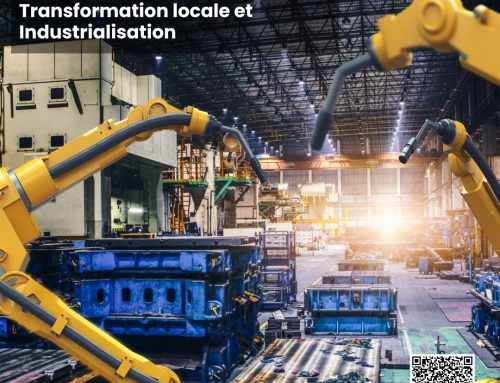 Ce que l’Afrique peut apprendre du modèle industriel chinois : Transformation locale et Industrialisation